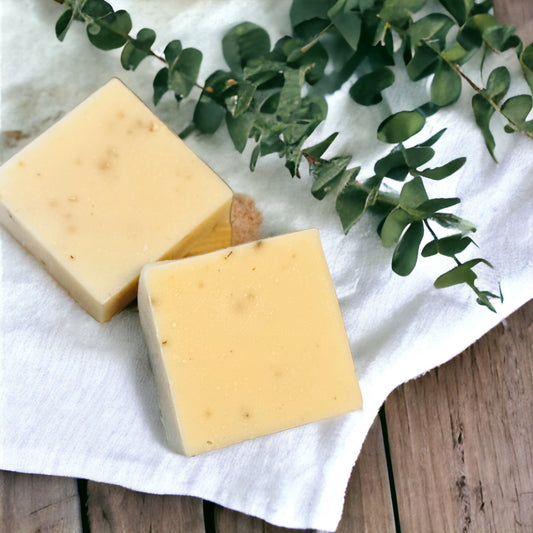 Eucalyptus & Aloe